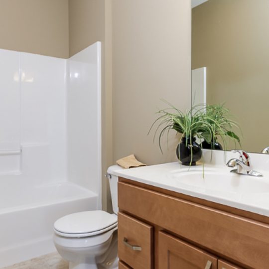 https://www.rivervalleyhomesqc.com/wp-content/uploads/1920_E_60th_Circle_Davenport_40-540x540.jpg